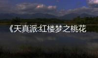 《天真派:红楼梦之桃花诗社》88影视在线观看